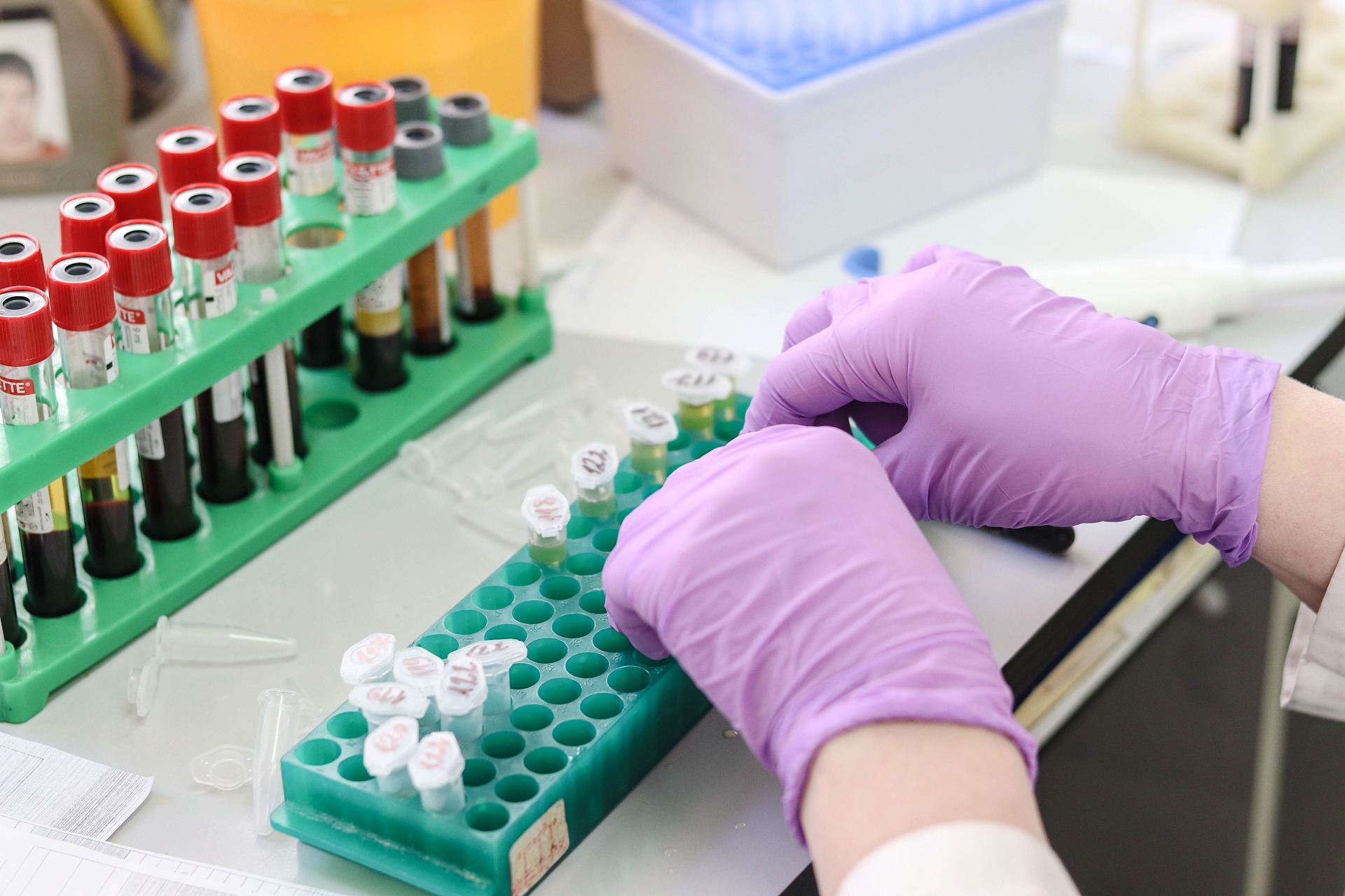 SERVICES FOOD TESTING